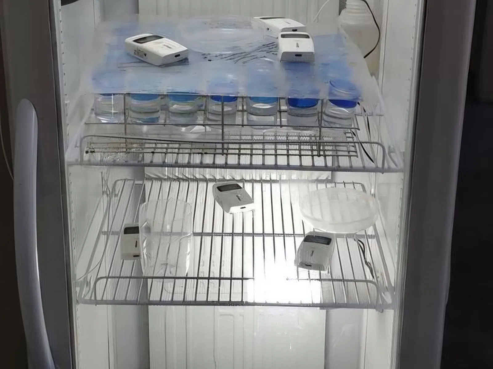 Prateleiras de um refrigerador em ensaio, com registradores de temperatura entre os frascos da carga.