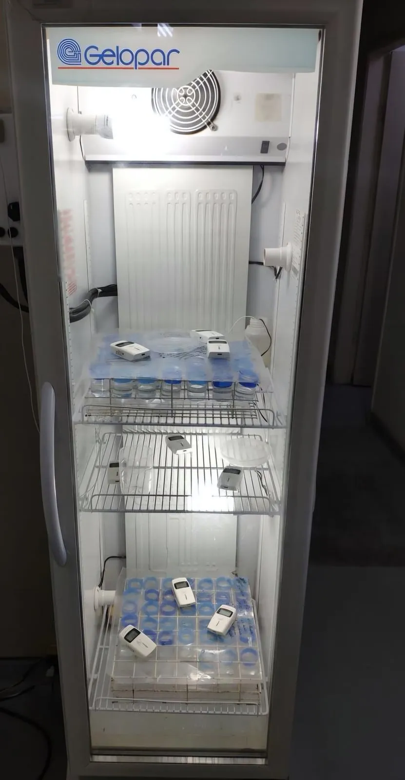 Refrigerador de porta de vidro com registradores de temperatura distribuídos nas prateleiras, entre a carga.